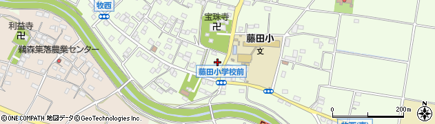 埼玉県本庄市牧西541周辺の地図