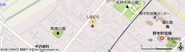 栃木県下都賀郡野木町丸林403周辺の地図