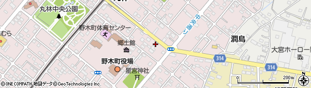 栃木県下都賀郡野木町丸林573-9周辺の地図