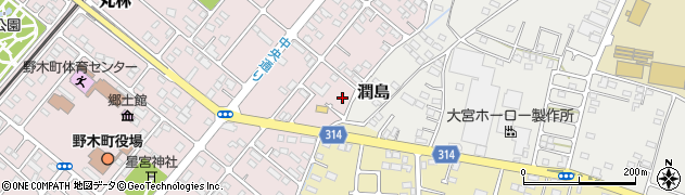 栃木県下都賀郡野木町丸林619周辺の地図