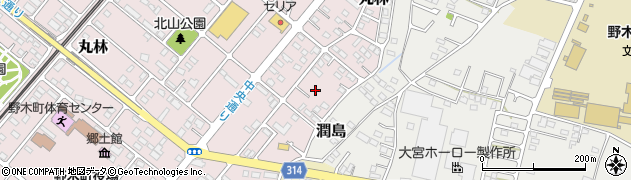 栃木県下都賀郡野木町丸林605周辺の地図