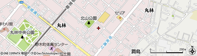 栃木県下都賀郡野木町丸林616周辺の地図