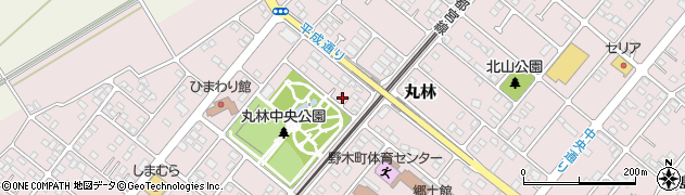 栃木県下都賀郡野木町丸林576-13周辺の地図