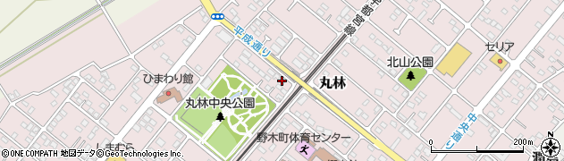 栃木県下都賀郡野木町丸林576-5周辺の地図