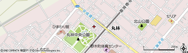 栃木県下都賀郡野木町丸林576周辺の地図