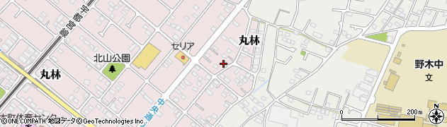 栃木県下都賀郡野木町丸林603-19周辺の地図