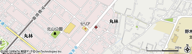 栃木県下都賀郡野木町丸林603-6周辺の地図