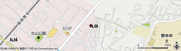 栃木県下都賀郡野木町丸林603-24周辺の地図