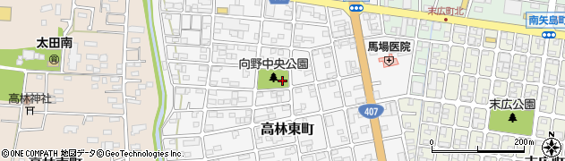 群馬県太田市高林東町周辺の地図