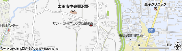 群馬県太田市細谷町126周辺の地図