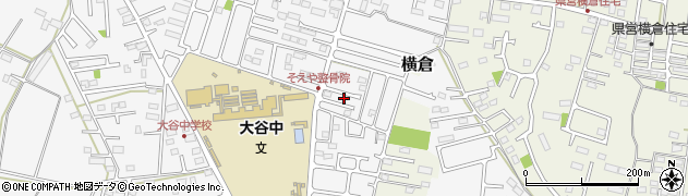 栃木県小山市横倉新田256周辺の地図
