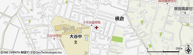 栃木県小山市横倉新田256-8周辺の地図