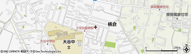 栃木県小山市横倉新田258周辺の地図