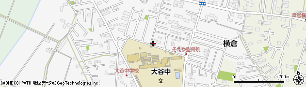 栃木県小山市横倉新田264-8周辺の地図