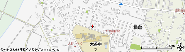 栃木県小山市横倉新田264-5周辺の地図