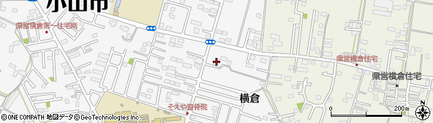 栃木県小山市横倉新田260周辺の地図