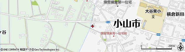 栃木県小山市横倉新田89周辺の地図