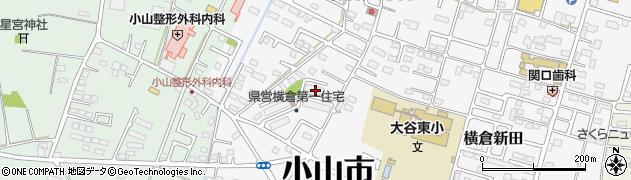 栃木県小山市横倉新田100-5周辺の地図