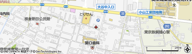 栃木県小山市横倉新田289周辺の地図