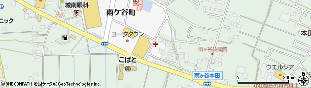 栃木県小山市雨ケ谷町52周辺の地図