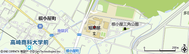 高崎商科大学周辺の地図
