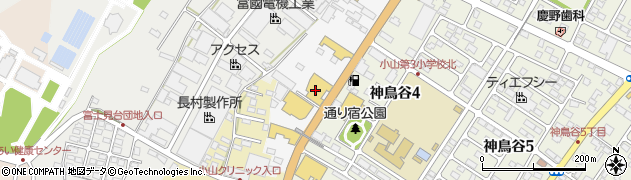 栃木県小山市神鳥谷309周辺の地図
