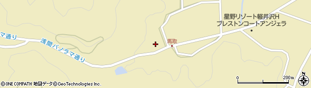 長野県北佐久郡軽井沢町発地710周辺の地図