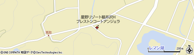 長野県北佐久郡軽井沢町発地566周辺の地図