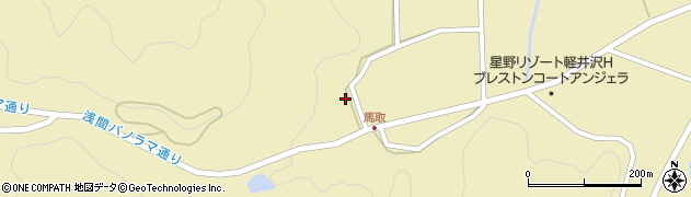 長野県北佐久郡軽井沢町発地719周辺の地図