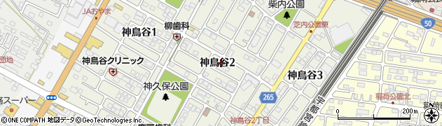 栃木県小山市神鳥谷2丁目周辺の地図