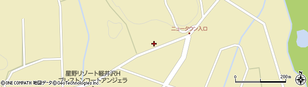 長野県北佐久郡軽井沢町発地316周辺の地図