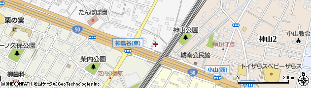 栃木県小山市神鳥谷1316周辺の地図