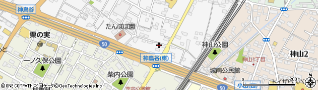 栃木県小山市神鳥谷1062周辺の地図