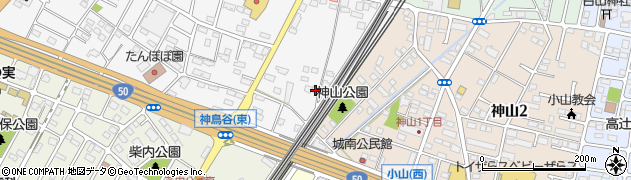 栃木県小山市神鳥谷1095周辺の地図