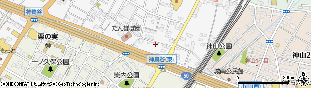 栃木県小山市神鳥谷1039周辺の地図