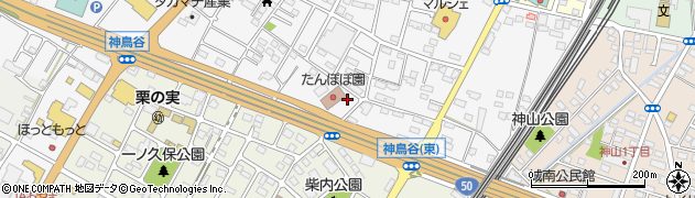 栃木県小山市神鳥谷934周辺の地図