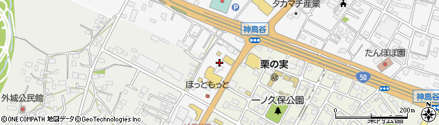 栃木県小山市神鳥谷284周辺の地図
