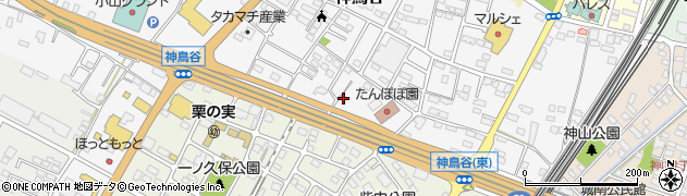 栃木県小山市神鳥谷918周辺の地図