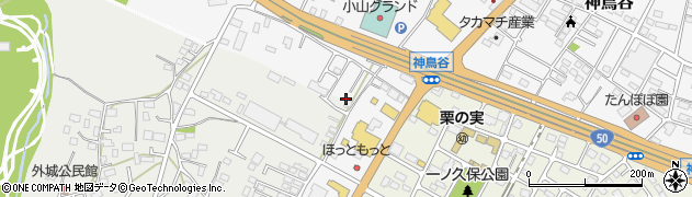 栃木県小山市神鳥谷254周辺の地図