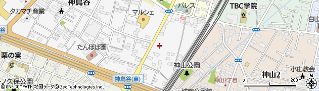 栃木県小山市神鳥谷1080周辺の地図