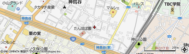 栃木県小山市神鳥谷1049周辺の地図