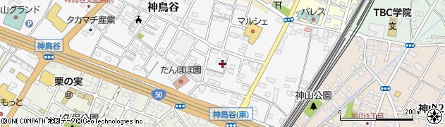 栃木県小山市神鳥谷1057周辺の地図