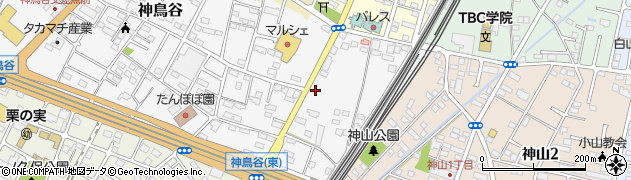 栃木県小山市神鳥谷1079周辺の地図