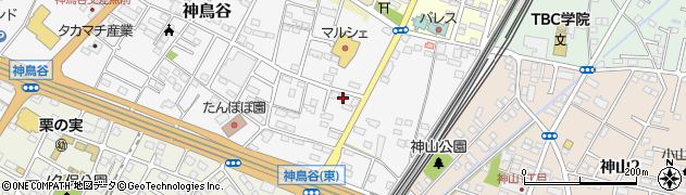 栃木県小山市神鳥谷1066周辺の地図
