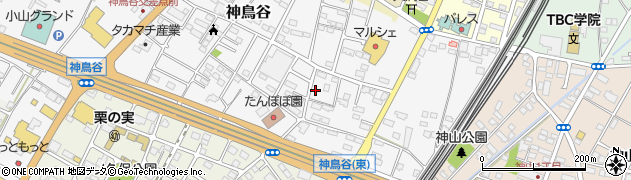 栃木県小山市神鳥谷1047周辺の地図