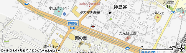 栃木県小山市神鳥谷887周辺の地図