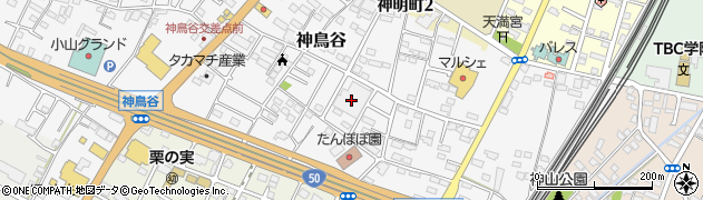 栃木県小山市神鳥谷936周辺の地図