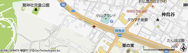 栃木県小山市神鳥谷201周辺の地図
