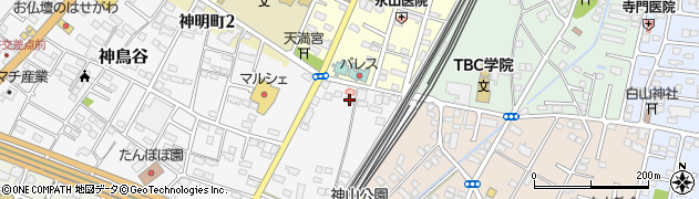 栃木県小山市神鳥谷1086周辺の地図
