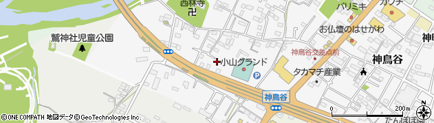 栃木県小山市神鳥谷209周辺の地図